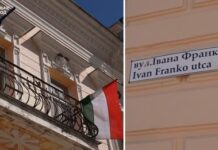 Alegeri în Ungaria: ce gândesc ungurii din Transcarpatia și cum vor vota peste hotare